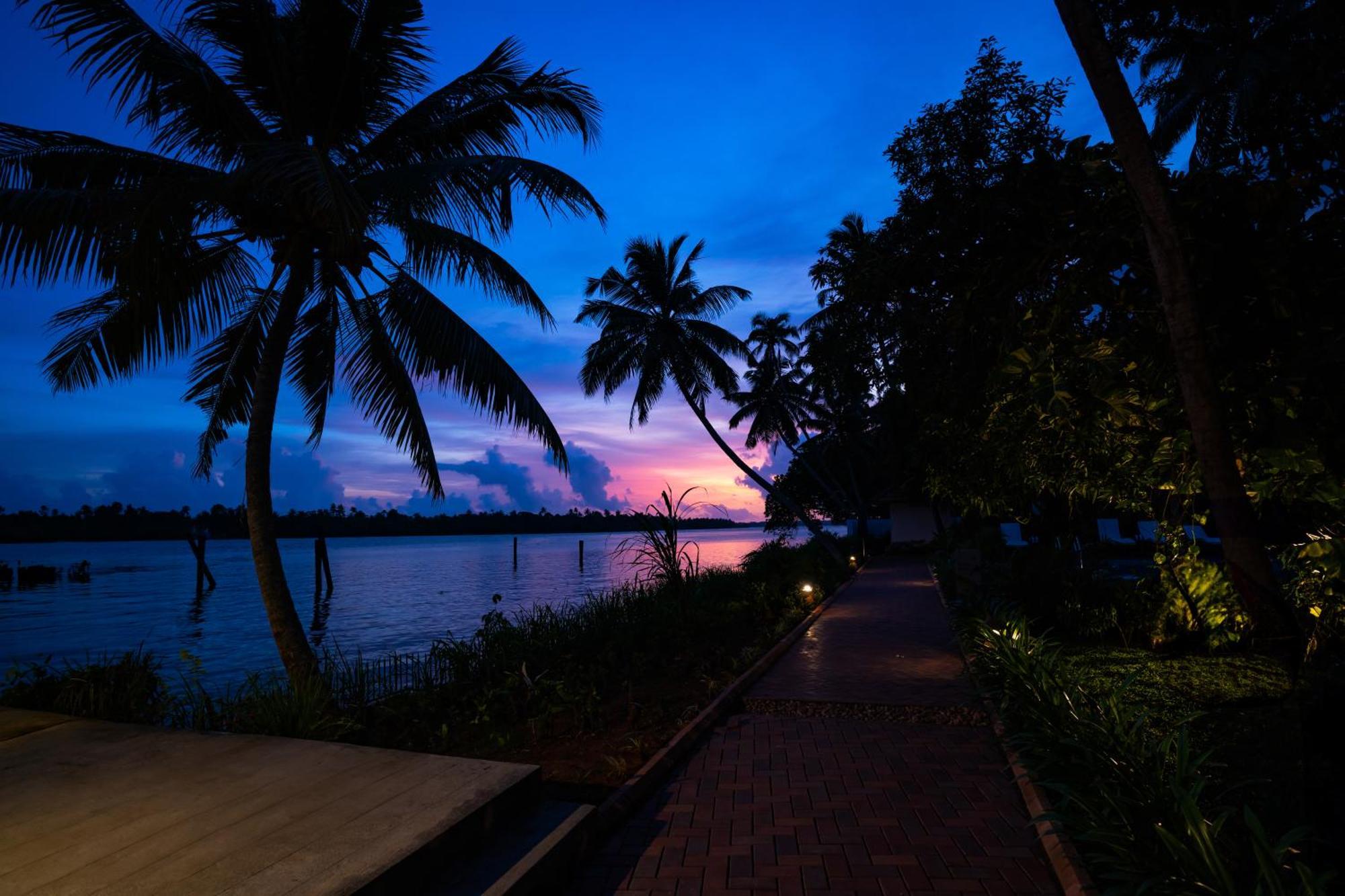 Vedic Village Retreat Kodungallur Kochi Exteriör bild